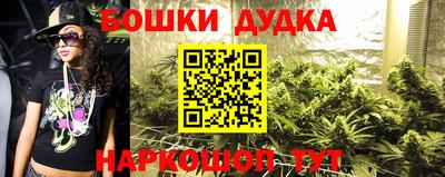 МДПВ Гусев