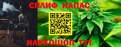 МДПВ Гусев