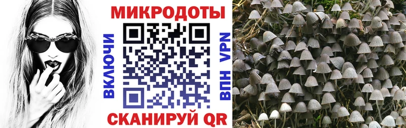закладки  Биробиджан  Псилоцибиновые грибы мухоморы 
